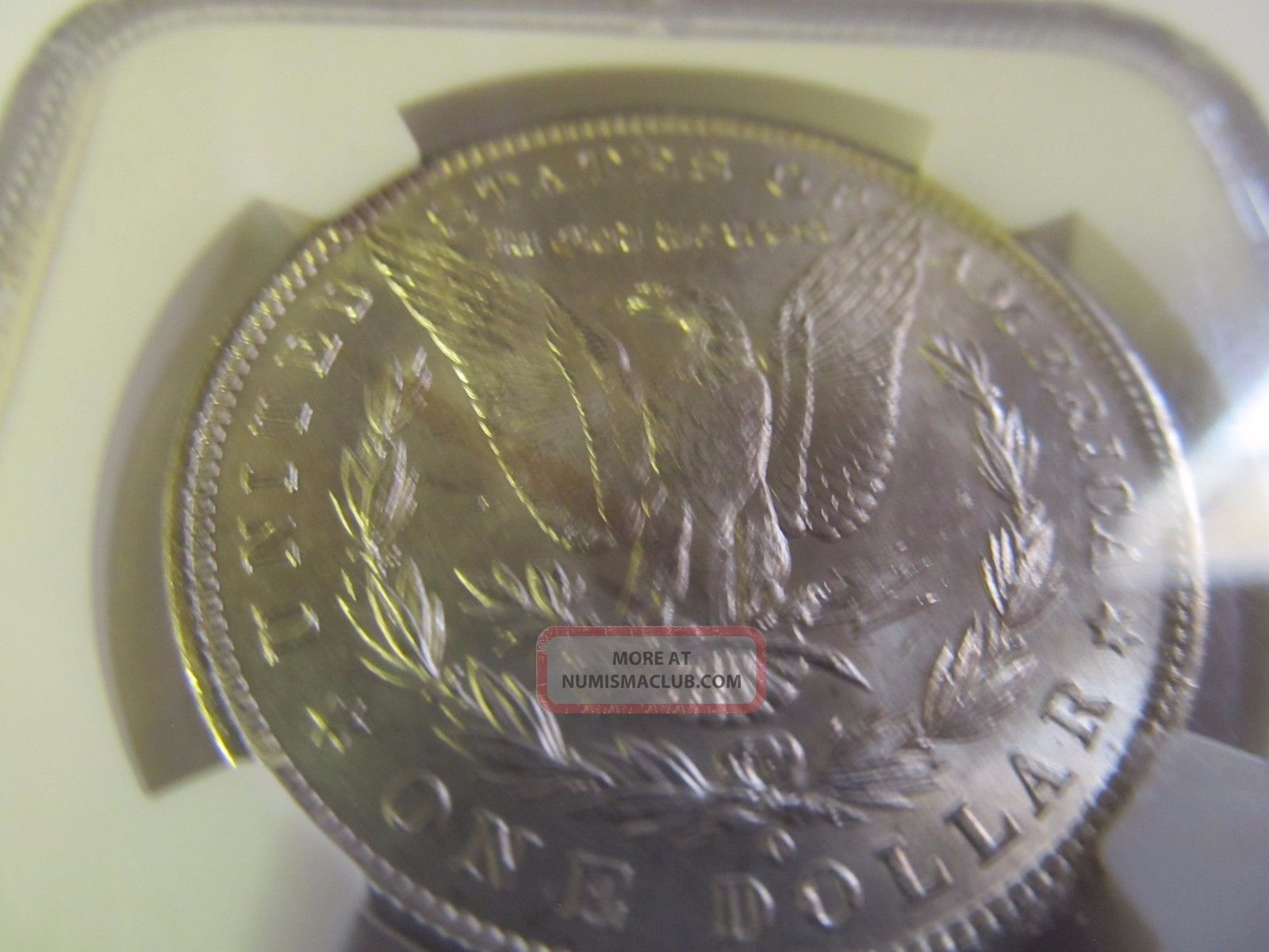 1884 - O Morgan Silver Dollar Ngc Ms 65