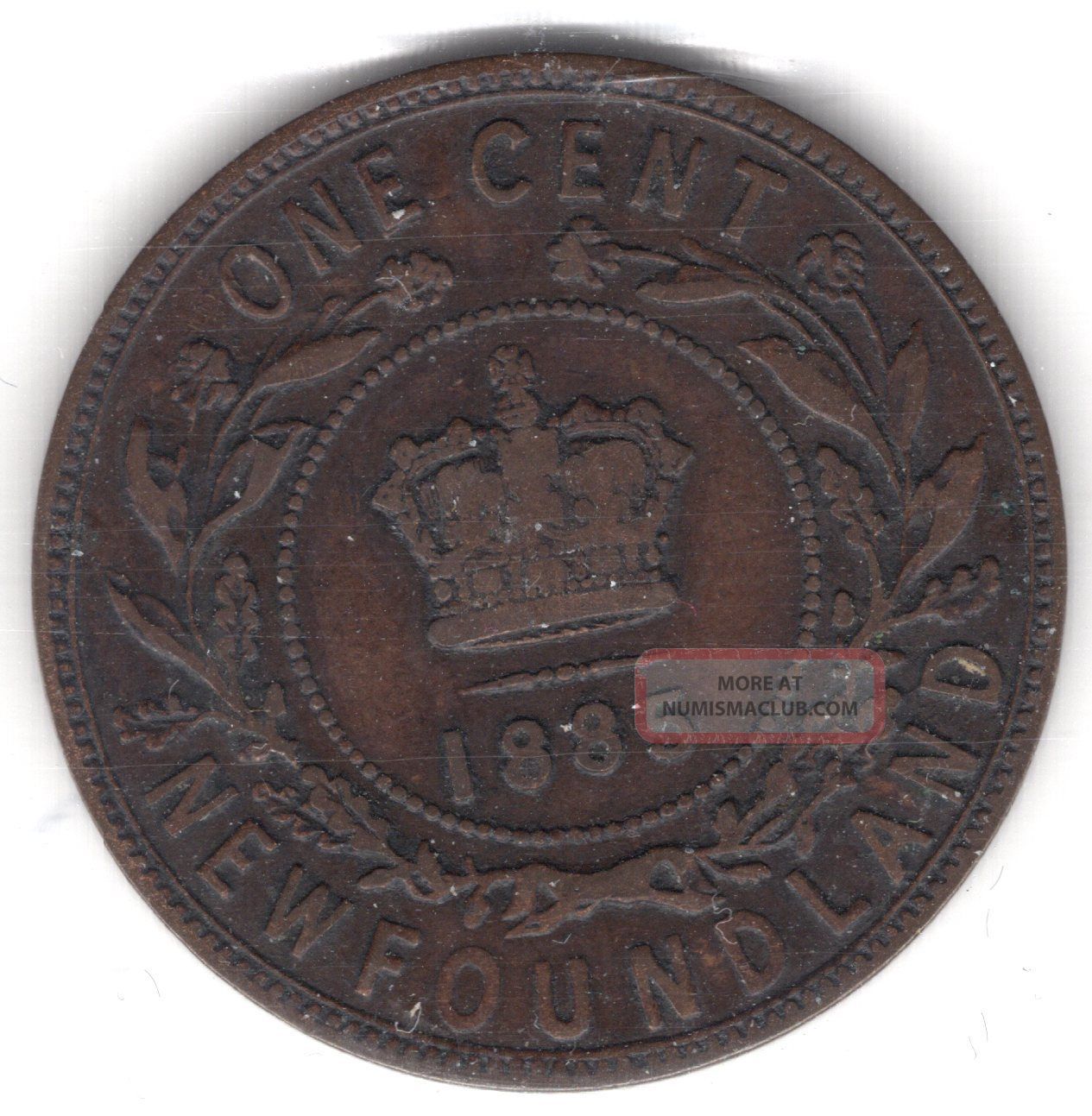 1885 Newfoundland Canada One 1 Cent Copper Penny Issc Graded Coin A291 Coins: Canada photo