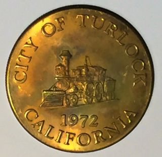 C1684 Turlock,  Ca.  Bronze Town Medal,  Centennial 1972 photo