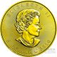 Halloween Maple Leaf 1 Oz Silver Coin 5$ Canada 2016 Coins: Canada photo 1