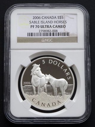 2006 Canada: $5 Sable Island Horses,  Ngc Pf70 Ultra Cameo photo