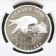 2006 Canada: $5 Peregrine Falcon,  Ngc Pf70 Ultra Cameo Coins: Canada photo 2