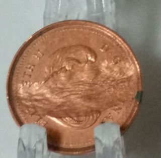 2006 Canada Penny Error Struck Through Grease - One Cent - Rare - Check Photos photo