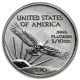 1999 1/10 Oz Platinum American Eagle Coin - Brilliant Uncirculated - In Mylar Platinum photo 1