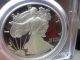 Unreal Looking Proof Silver Eagle Pcgs 2006 - W Proof - 69dcam It Looks Perfect Silver photo 1