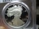 Unreal Looking Proof Silver Eagle Pcgs 2006 - W Proof - 69dcam It Looks Perfect Silver photo 2