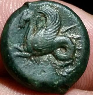 Dionysios I Sicily Syracuse 490 - 390 Bc.  Ae Hemilitron.  Hippocamp 16 Mm.  Rare photo