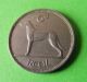 Authentic 1942 Irish Sixpence Coin - Example With Sharp Details - Ireland Europe photo 1