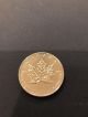 1992 1oz Platinum Canadian Maple Leaf Coin Platinum photo 1