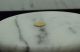 10k Gold Mini Coin Eagle & Liberty Design 9.  8mm 0.  3 Grams Gold photo 1