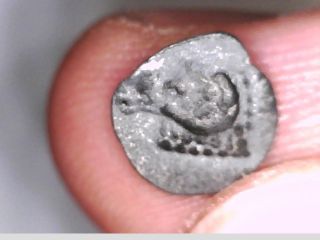 Asia Greece Cyprus Salamis Silver Hemiobol Or Obol Tiny Coin Ram Flat Surface photo