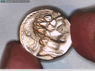 Greece Egypt Ptolemy V Or Vi Plilometor Didrachm Silver Ancient Greek Coin photo