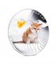 Fiji 2013 2$ Dogs & Cats Series Wild Cat Felis Margarita 1 Oz Proof Silver Coin Other Oceania Coins photo 3