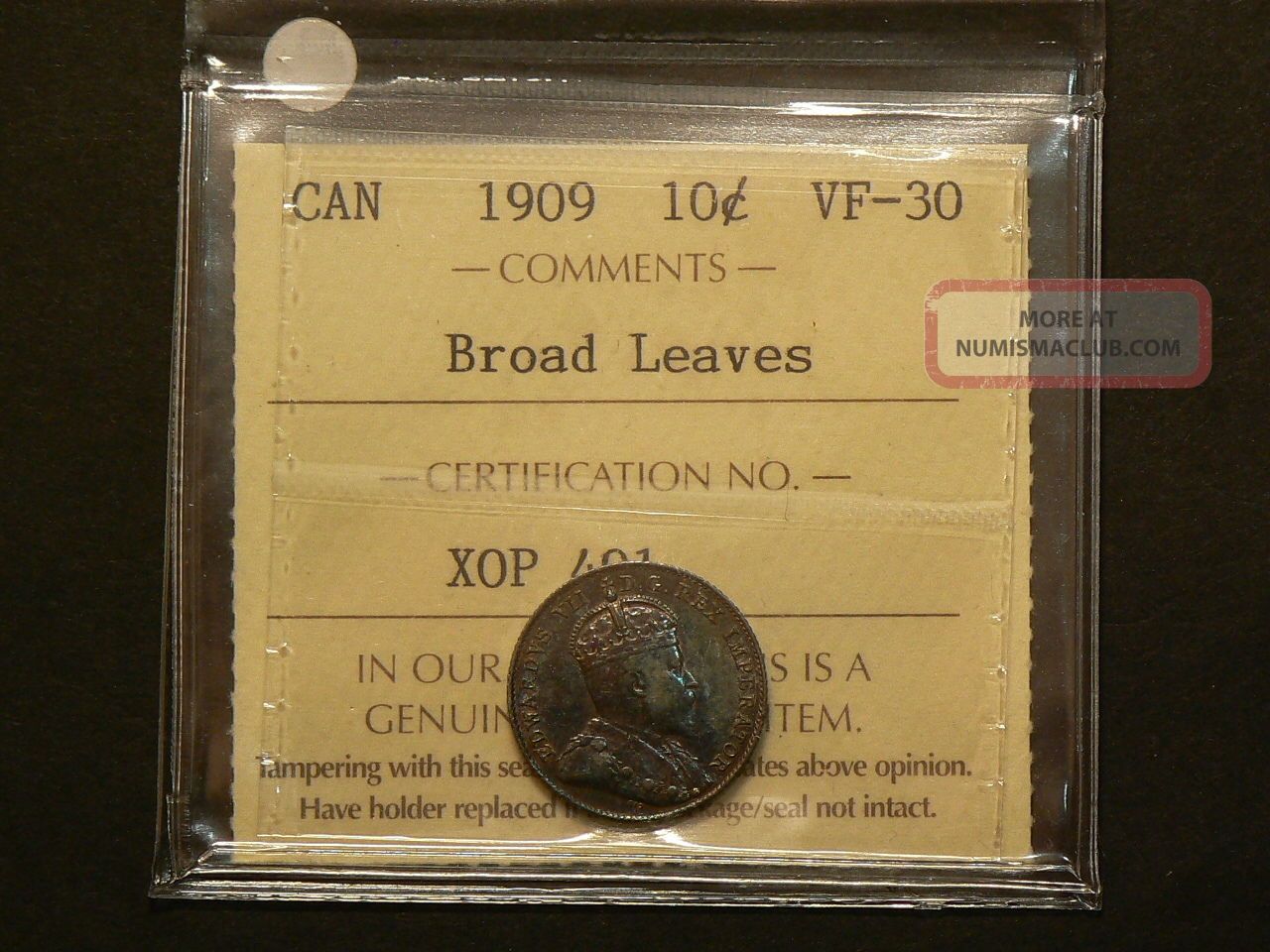 Canada,  1909 Ten 10 Cents,  Iccs Vf - 30 Broad Leaves 4159 Coins: Canada photo