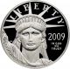 2009 - W Platinum Eagle Us $100 1 Oz Proof (preamble Series W/ Box &) Platinum photo 2