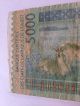 5000 Franc Banknote - Central Bank Of West Africa - Circulated - 2003 Africa photo 6