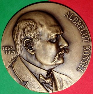 Nobel Prize Of Medicine / German A.  Kossel / Bronze Medal By J.  De Moura photo