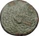 Sinope In Paphlagonia Time Of Mithradates Vi The Great Gorgon Greek Coin I51956 Coins: Ancient photo 1