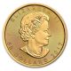 2017 Canada 1 Oz Gold Maple Leaf Coin Brilliant Uncirculated - Sku 115850 Gold photo 1