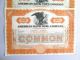 7 Old Stocks American Bank Note Company 1926,  1928,  1930,  1940,  1942.  (2) 1945 Stocks & Bonds, Scripophily photo 1