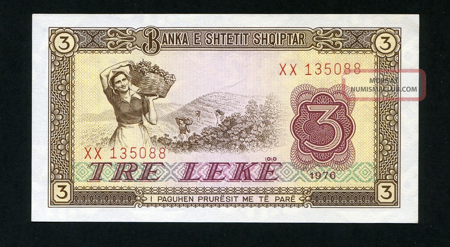 Albania 3 Leke 1976 P - 41 Unc Uncirculated Banknote Europe photo