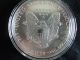 1991 American $1 Silver Eagle Coins photo 1
