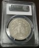 , 1884 - S Silver $1 Morgan Dollar Slabbed Graded Certified Pcgs Xf45 Sweet Coin, Morgan (1878-1921) photo 1