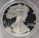 1995 - P American Silver Eagle Proof (pcgs - Pr69 Dcam) Coins photo 1