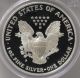1995 - P American Silver Eagle Proof (pcgs - Pr69 Dcam) Coins photo 2