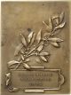 Ice.  Ag: France.  Award Bronze Plaque By Pillet,  Dated 1930. Exonumia photo 2