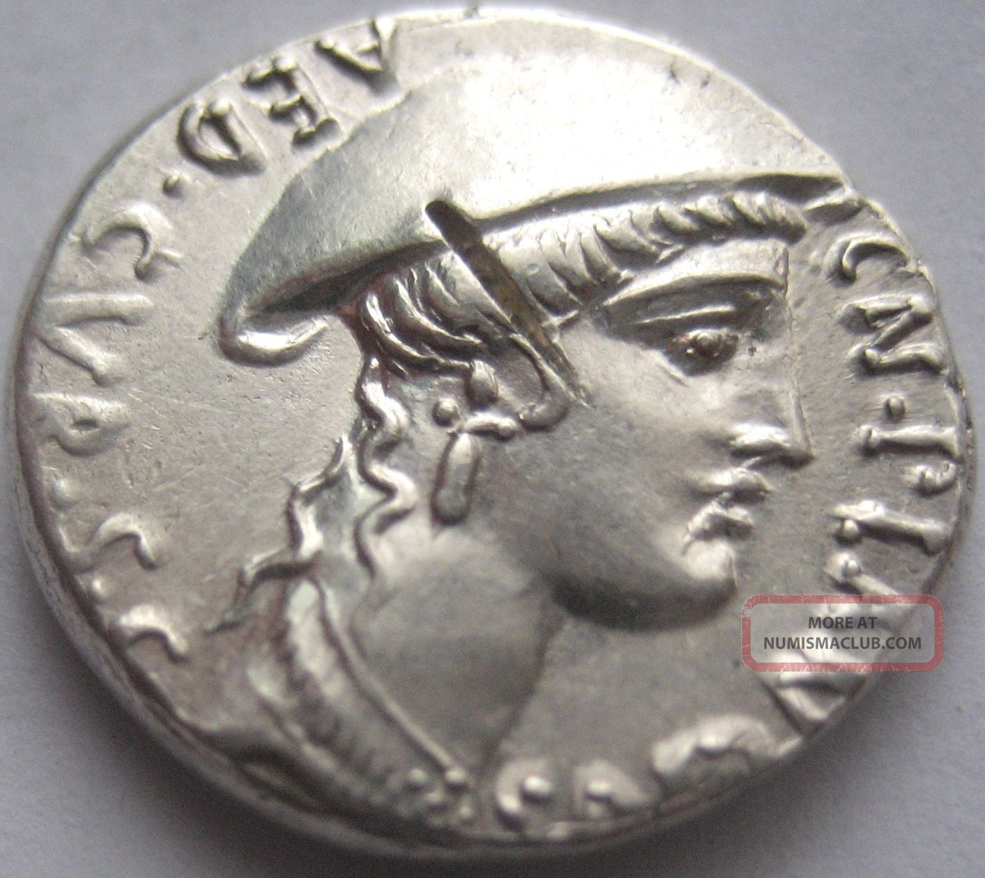 Rome Cn.  Plancius 55 B.  C.  Silver Denarius Very Rare And Coins: Ancient photo