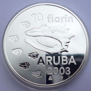 Aruba 10 Florin 2003 Silver Coin Proof Sea Shell Very Low Mintage Rare photo