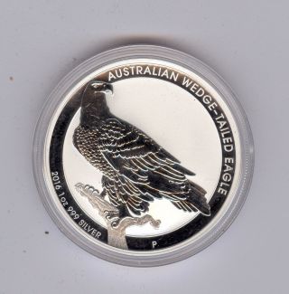 2016 1 Oz.  999 Fine Silver Australian Wedge Tailed Eagle - Gem Bu photo