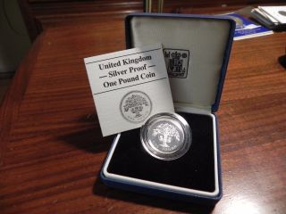 1987 One Pound Proof Silver Art Silver Coin United Kingdom Royal photo