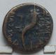 Ancient Greek Apameia Bronze Coin Dionysos/cornucopia Coins: Ancient photo 1