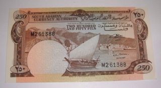Yemen 250 Fils 1965 Paper Money Prefix M261388 Unc photo