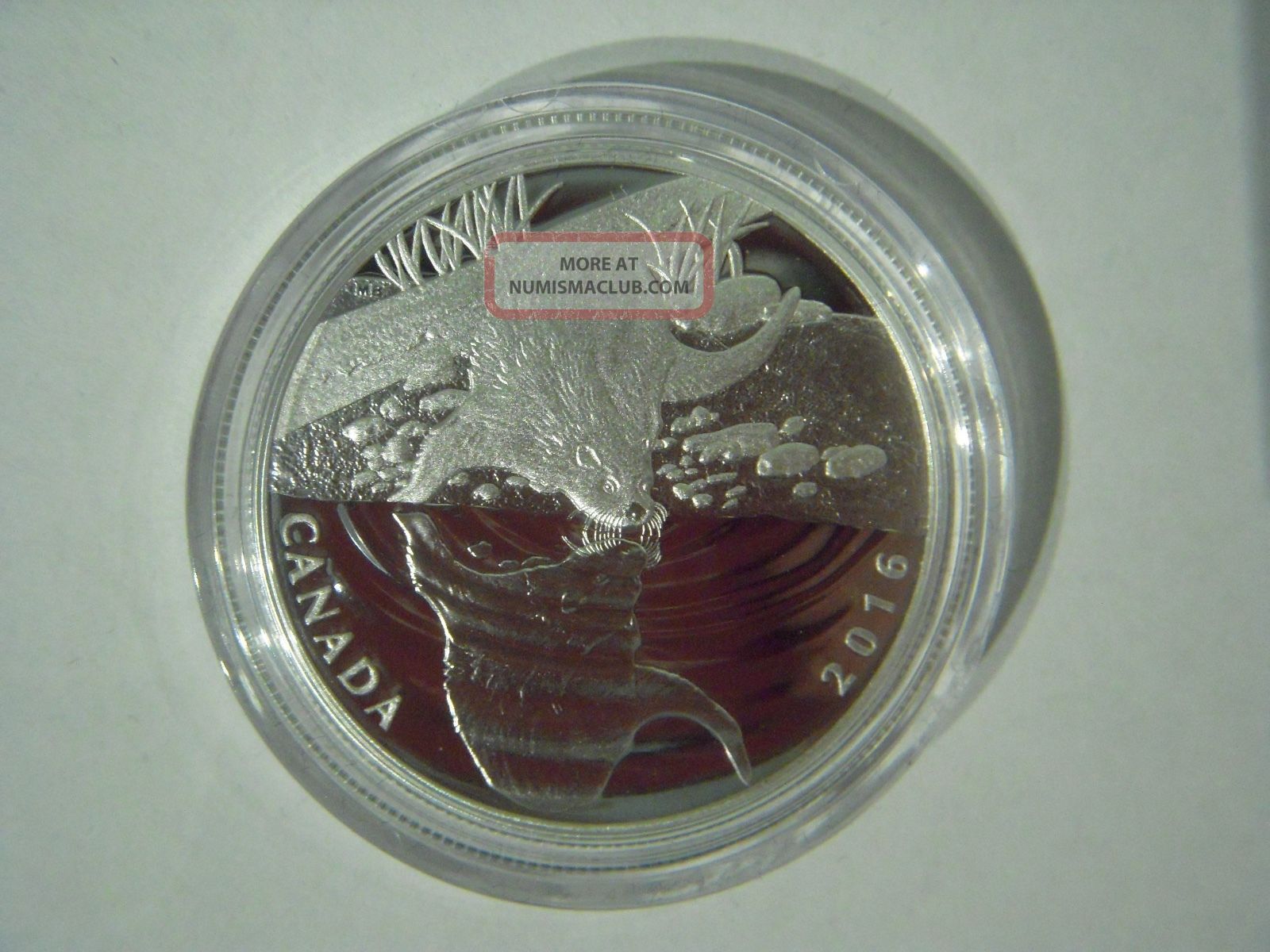 Canada 2016 $10 Reflections Of Wildlife: Otter,  Pure Silver Proof Coin Coins: Canada photo