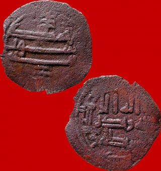 Lucernae Scarce Independent Corduba ' S Emirate Bronze Fals (749 - 928 D.  C. ). photo