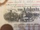 1929 Abbeville Cotton Mills Stock Certificate Rare South Carolina Slave Vignette Stocks & Bonds, Scripophily photo 5