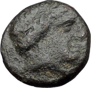 Alexander Iii The Great 336bc Lifetime Apollo Horse Ancient Greek Coin I31731 photo