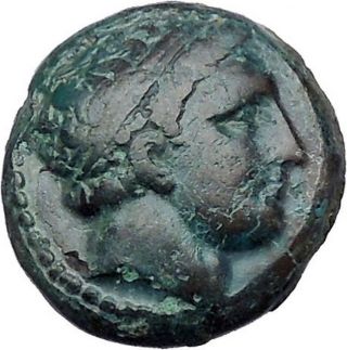 Philip Ii Alexander The Great Dad Olympic Games Ancient Greek Coin Horse I47409 photo