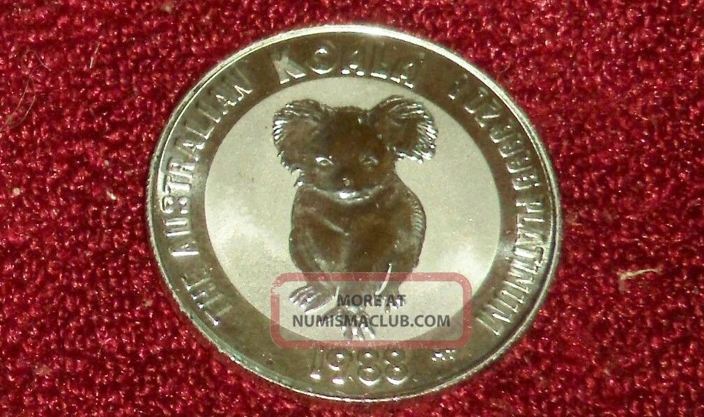1988 Australia Proof $100 Koala Bear,  1 Ounce Pure Platinum,  Rare First Year Gem Australia photo