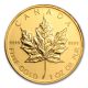 2008 1 Oz Gold Canadian Maple Leaf Coin - Brilliant Uncirculated Gold photo 1
