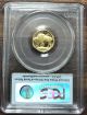 2008 - W $5.  9999 Gold American Buffalo 1/10 Oz Pcgs Graded Pr69dcam First Strike Coins photo 1