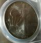 2004 American Silver Eagle Ms70 Mercanti Signed First Strike.  Mercanti Signature Silver photo 1