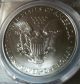 2004 American Silver Eagle Ms70 Mercanti Signed First Strike.  Mercanti Signature Silver photo 3