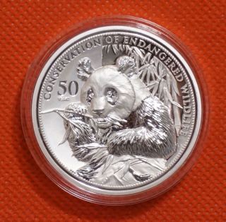 Shanghai Xsj 2014 Wildlife Panda Elephant 40mm China Coin Medal photo