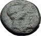 Augustus 27bc Amphipolis Macedonia Artemis Bull Ancient Roman Coin I61088 Coins: Ancient photo 1