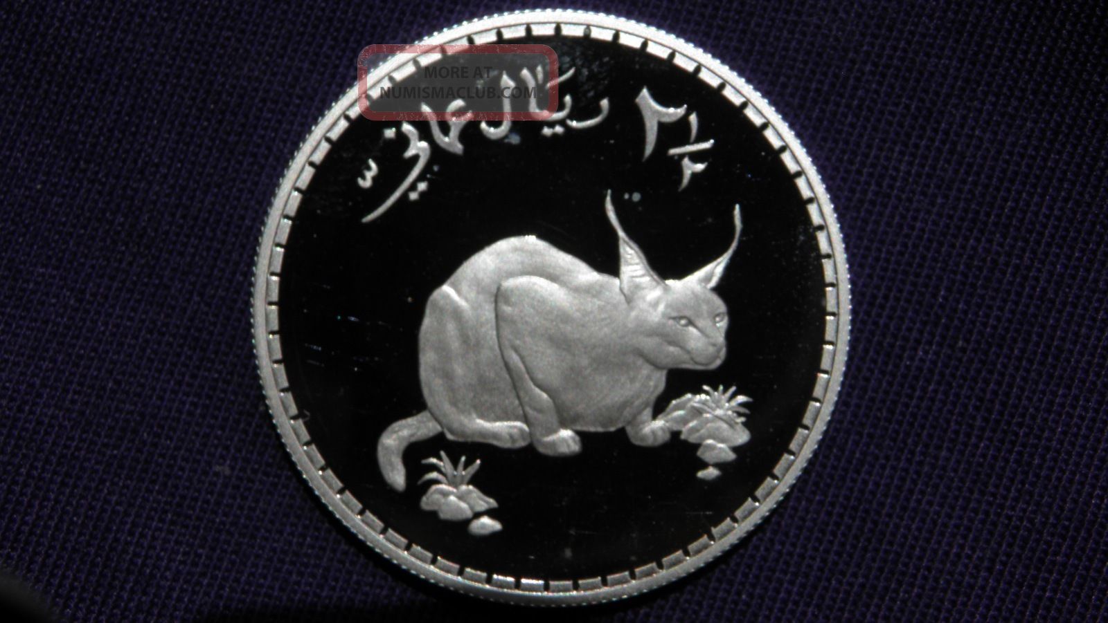 1976 Oman 2 1/2 Rials Caracal Silver Proof Coin Middle East photo