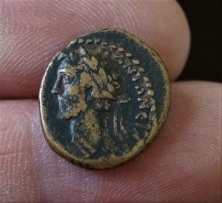 V.  Rare Head Left Antoninus Pius -.  Ae Semis,  Antioch 145 - 147 A.  D.  3.  1g,  18mm photo